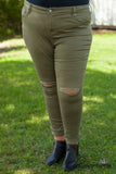 Curvy| Catherine Rolled Cuff Ankle Jean - Light Olive