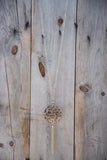 Zen Resin Pendant Necklace - Leopard Brown